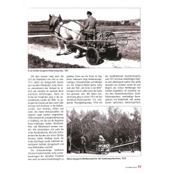 Die Grosse Holder Chronik