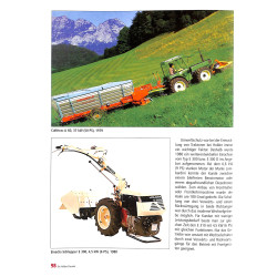 Die Grosse Holder Chronik