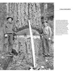 Chainsaws A History
