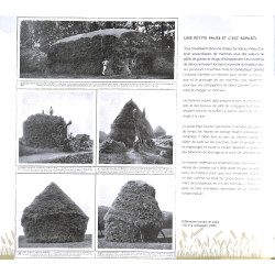 Batteuses, de nos campagnes