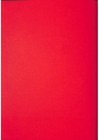 P10 - Montageanleitung Standard Star 219 - 30 pk (Super Export 329, Super 339)