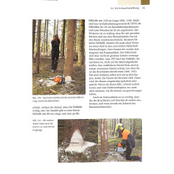 Sachkundenachweis Motorsage