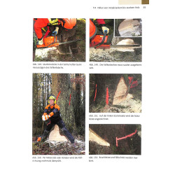 Sachkundenachweis Motorsage