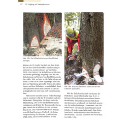 Sachkundenachweis Motorsage