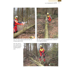 Sachkundenachweis Motorsage