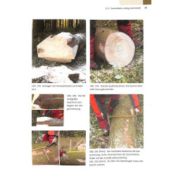 Sachkundenachweis Motorsage