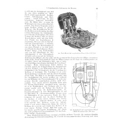 Motorrader Motorroller Mopeds