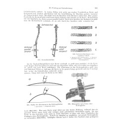 Motorrader Motorroller Mopeds