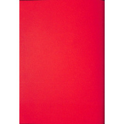 Montageanleitung Standard Star, Super Export, montage handleiding