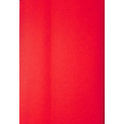 Bedienungsanleitung Porsche-Diesel AP18, gebruiksaanwijzing