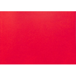 Porsche-Diesel Technische Daten, technische gegevens