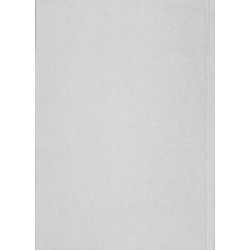 Z02 Betriebsanleitung, Ersatzteilliste ( onderhoudsboek), ZF/ZP-achterbrug A-20/18II, Voor de Master 408-409