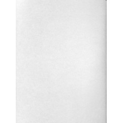 F01 Massey Ferguson Bedienung und Pflege FE35