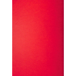 Porsche-Diesel Sonderwerkzeuge, speciale werktuigen