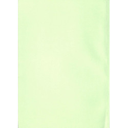 Allgaier Handbuch für den Dieselschlepper R22, A22, A24, Allgaier handleiding R 22,A22,A23,