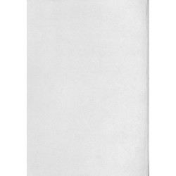 F06 Ersatzteilliste Massey-Ferguson Schlepper TE20