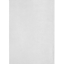 F08 Reparaturleitfaden MF 25