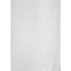 F05 Reparaturleitfaden MF 65