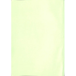 Werkstatthandbuch Fahrgestell D2506-D5506, D6206, werkplaats handboek