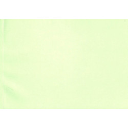 Schlepper-Werkstatt-Daten H1099-4, traktor , werkplaats gegevens 