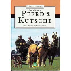 Pferd und Kutsche 