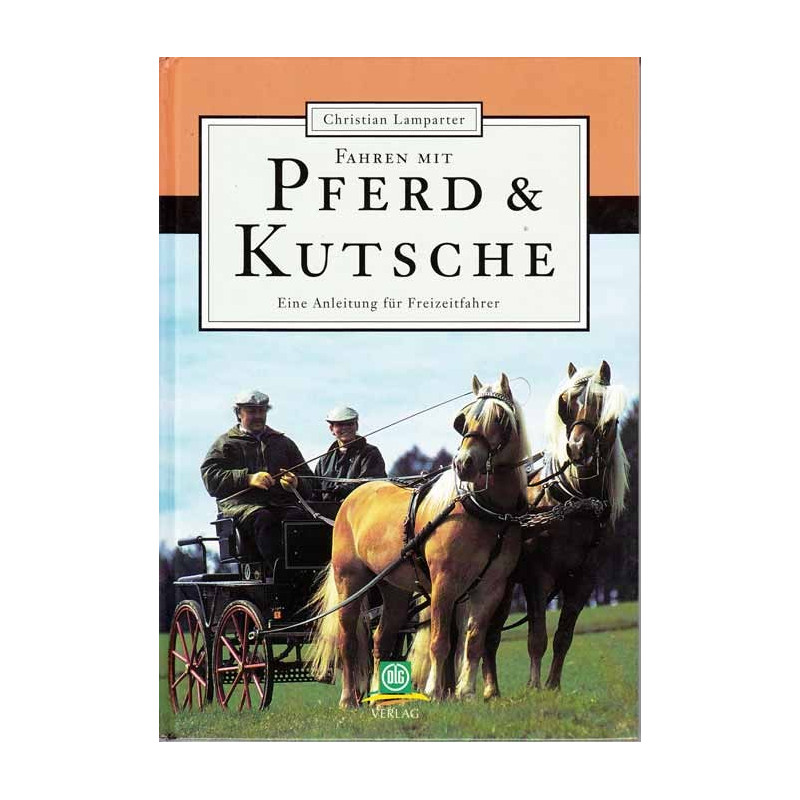 Pferd und Kutsche 