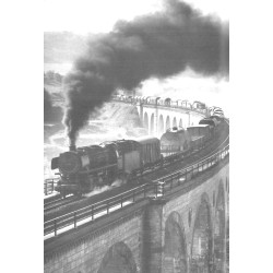 Dampflokomotieven geliebt und vergessen