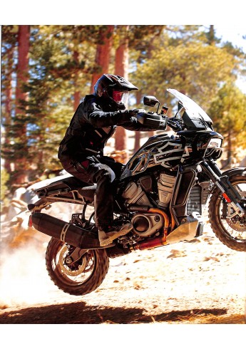 Ultimate Harley Davidson