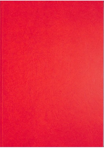 P02 - Reparaturhandbuch Porsche-Diesel