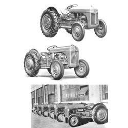 The Fergie  "20"  Family 1937-1970