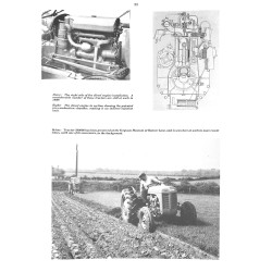 The Fergie  "20"  Family 1937-1970