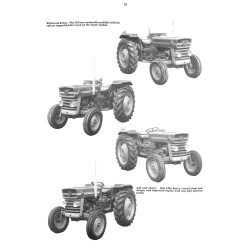 The Fergie  "20"  Family 1937-1970
