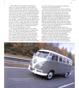 Patina Volkswagens