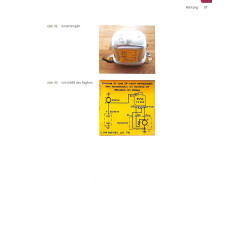 Schlepperelektrik verstehen und reparieren 