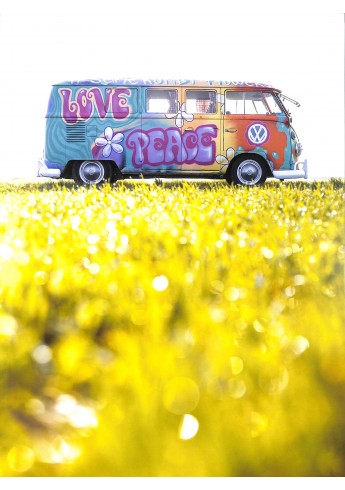 VW Bulli
