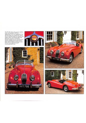 Jaguar Roger Hicks