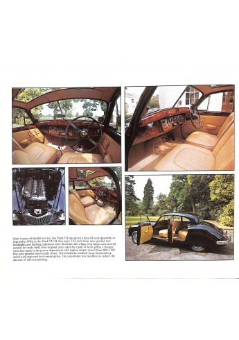 Jaguar Roger Hicks