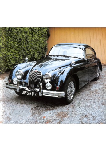 Jaguar Roger Hicks
