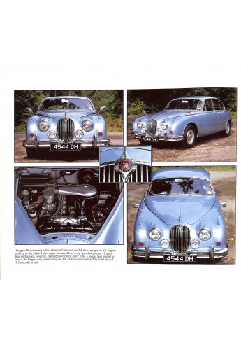 Jaguar Roger Hicks
