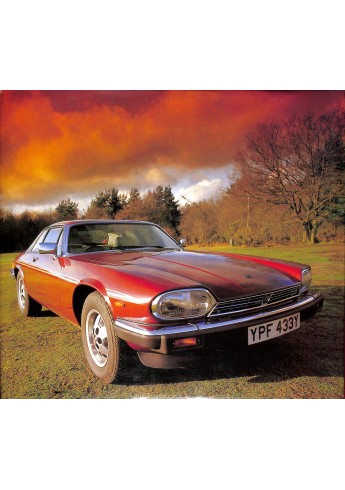 Jaguar Roger Hicks