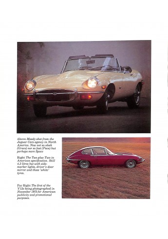 Jaguar E Type 3.8 & 4.2 6-cilinder 5.3 V12