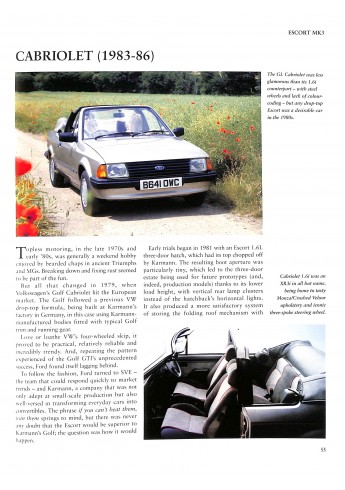 The Complete Catalogue of the Ford Escort Mk3, Mk4, Mk5 & Mk6