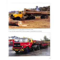 DAF f 2800 trucks en trekkers