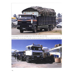 DAF F 3300 en F 3600 truck en trekkers - Krachtpaarden 