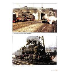 Jahrbuch Lokomotiven 2013