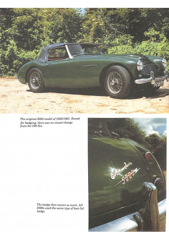 Austin Healey 100 & 3000 Series
