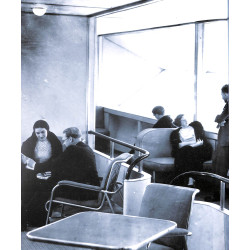 Die Hindenburg Gigant der Lüfte