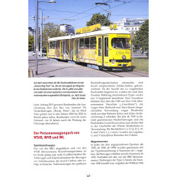 Straßenbahn in Österreich