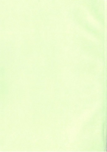 D37 - Werkstatthandbuch Deutz FL413