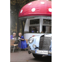 Praxisratgeber Klassikerkauf: Mercedes-Benz Ponton